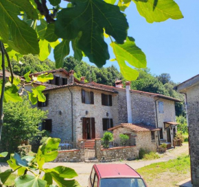 Cara House Tuscany, Chiatri